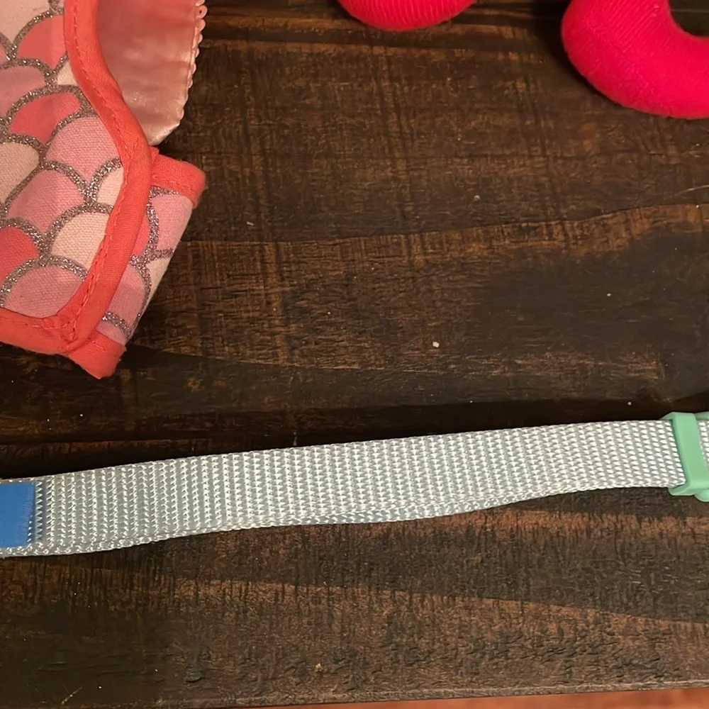 Small dog fish collar, The Dodo collar and hedgehog holiday toy.